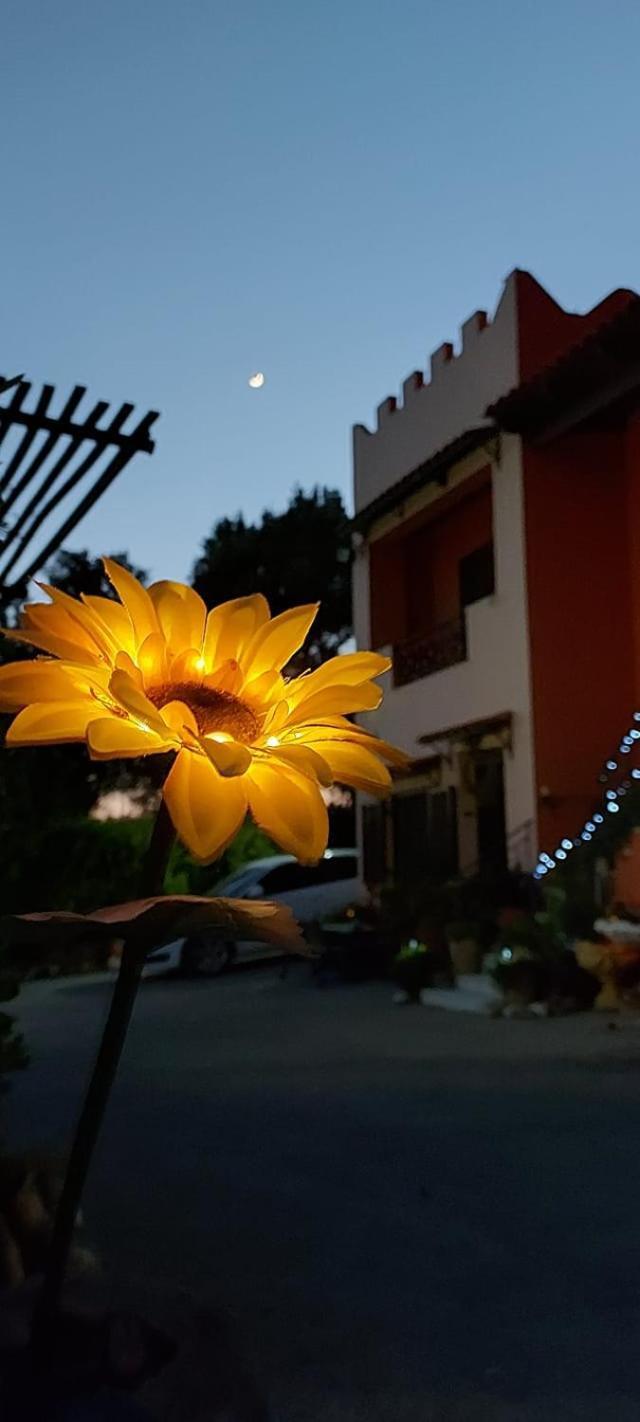 Kastro Studios Pigi  Bagian luar foto